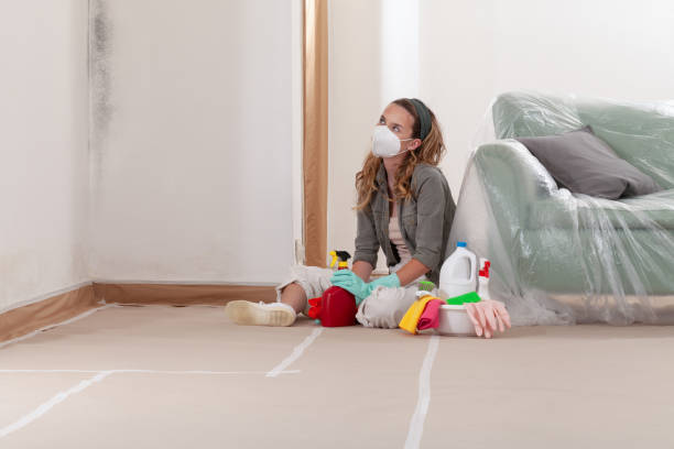 Reliable Basement Mold Remediation contractor in Forest Lake, MN by Mold Remediation HQ